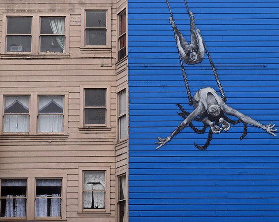DSC_0003