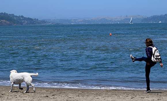 DSC_0009 (3)