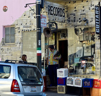 DSC_0035 (2)