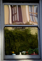 DSC_0046 (1)