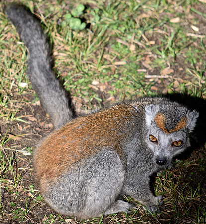 DSC_0046 (3)