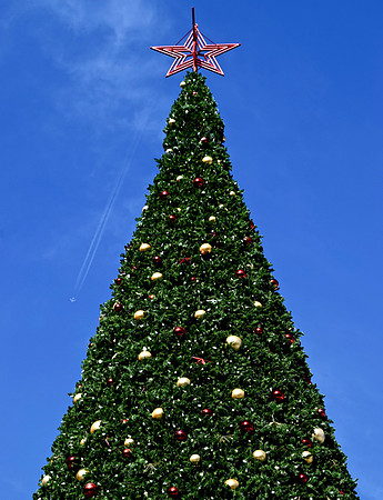 DSC_0053 (6)