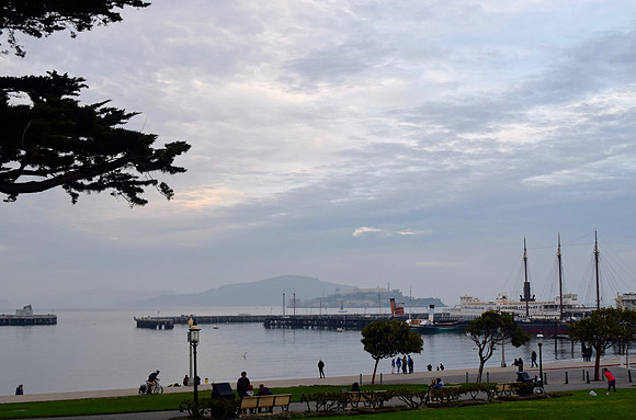 DSC_0068 (1)