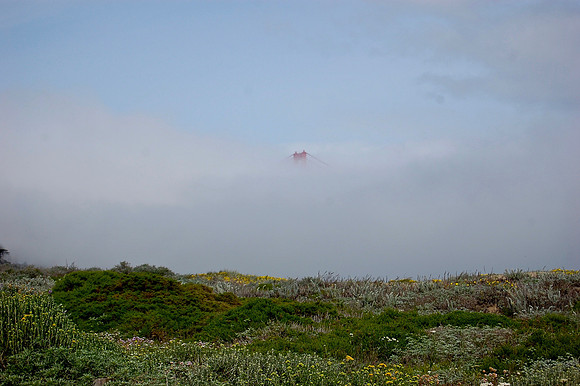DSC_0082