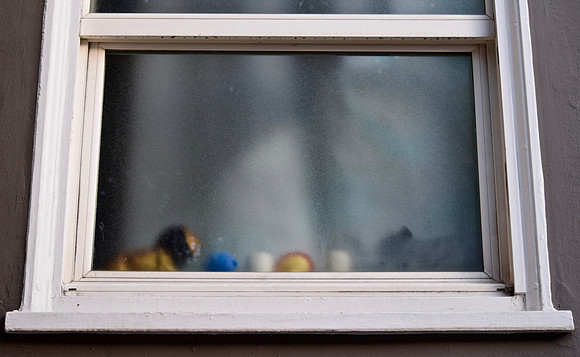 DSC_0084 (1)