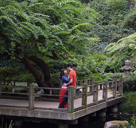 DSC_0096 (1)