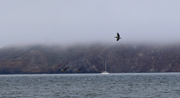 DSC_0100 (3)