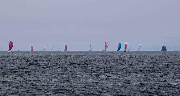 DSC_0213