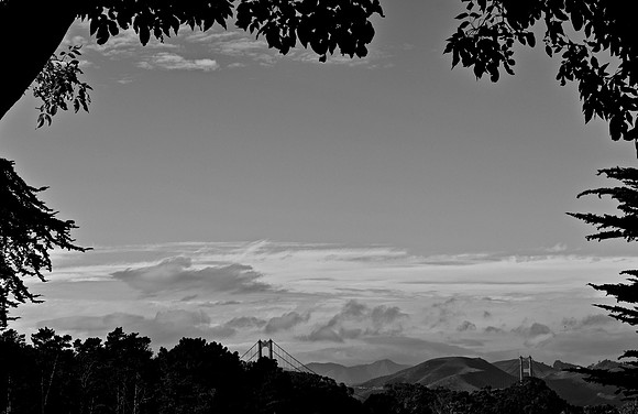 DSC_0010 (2)