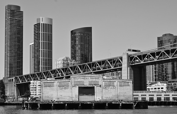 DSC_0010 (3)