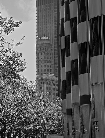 DSC_0014 (1)