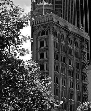DSC_0018 (1)