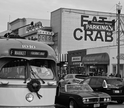 DSC_0024 (2)