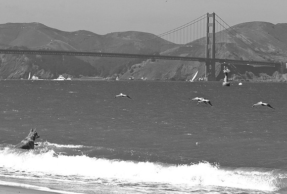 DSC_0033 (2)
