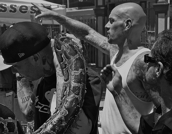 DSC_0034