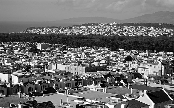 DSC_0036 (2)
