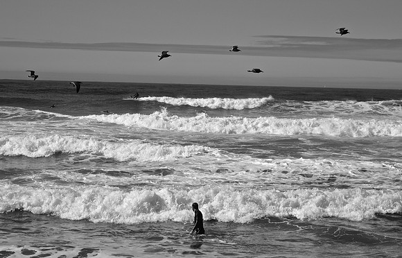 DSC_0063 (1)