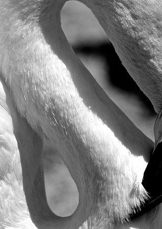 DSC_0065 (2)