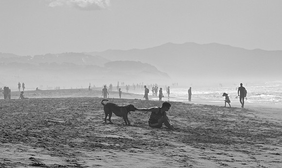 DSC_0068