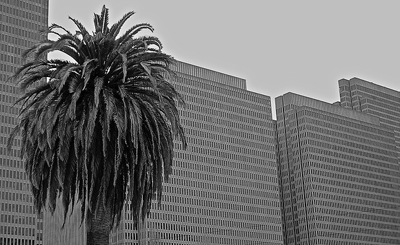 DSC_0072