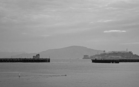 DSC_0095 (1)