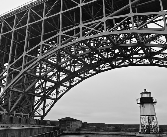 DSC_0119 (1)