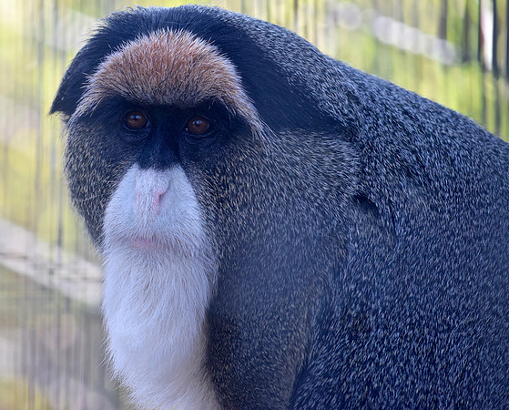 DSC_0072
