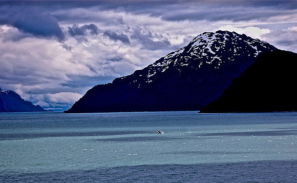 DSC_0072.JPG