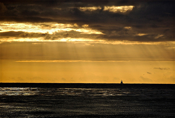 DSC_0166.JPG