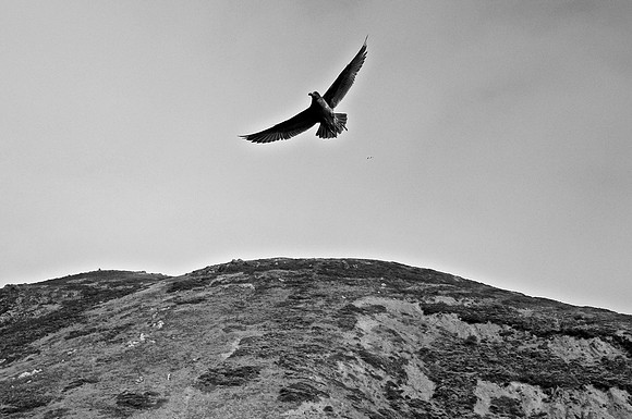 DSC_0026 (1)