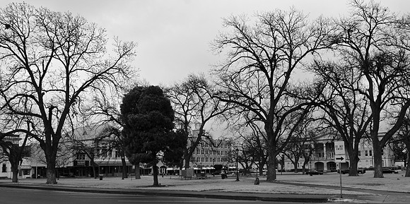 DSC_0033