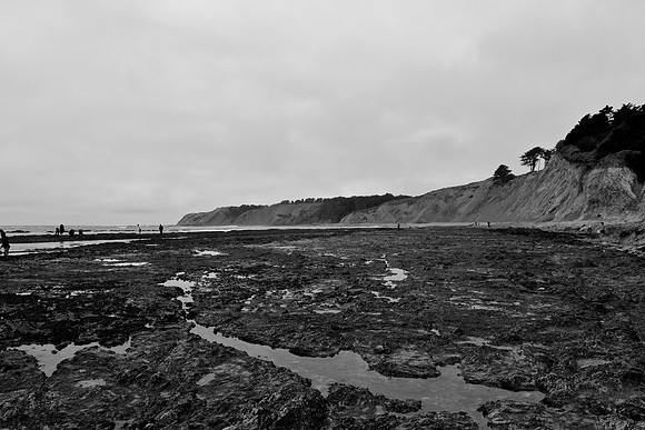 DSC_0060 (1)