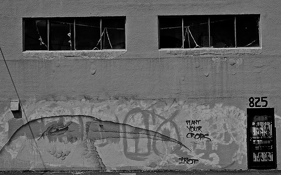 DSC_0082