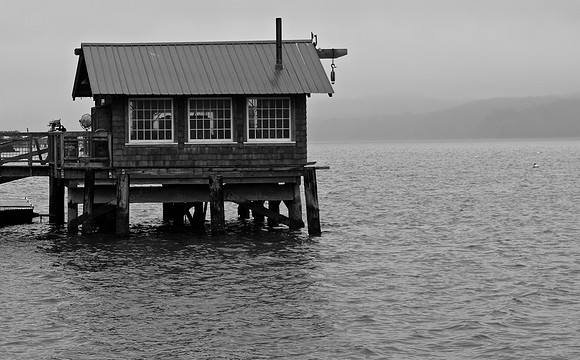 DSC_0134 (1)