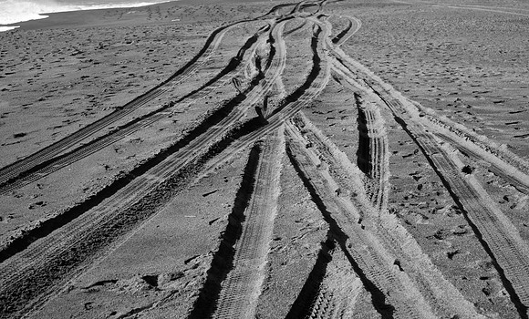 DSC_0147