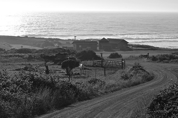 DSC_0154