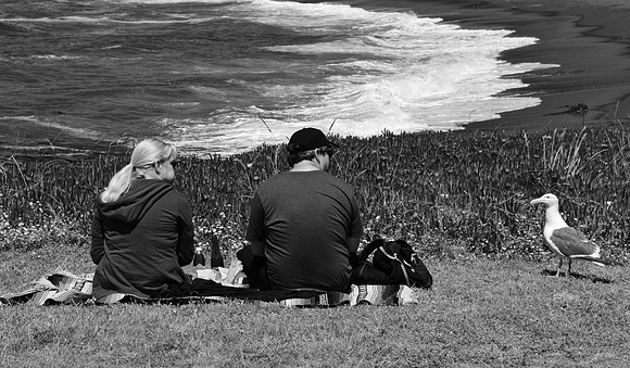 DSC_0380 (1)