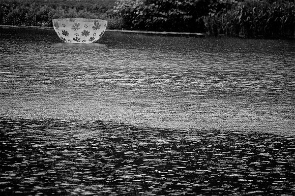 DSC_0226