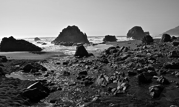 DSC_0095