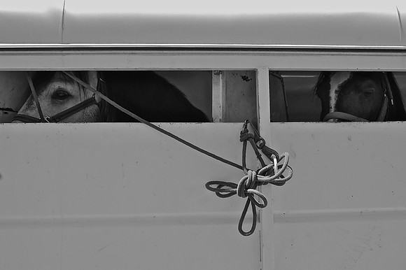 DSC_0002