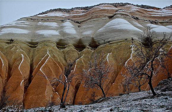 DSC_0245.JPG