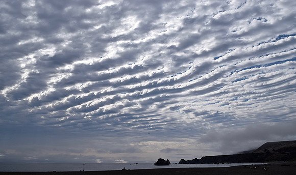 DSC_0004 (1)