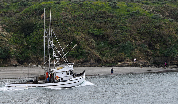 DSC_0055 (2)