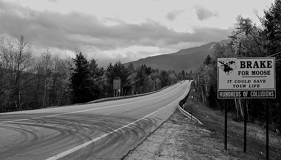 DSC_0043.JPG