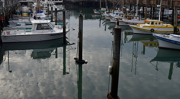 DSC_0032 (5)