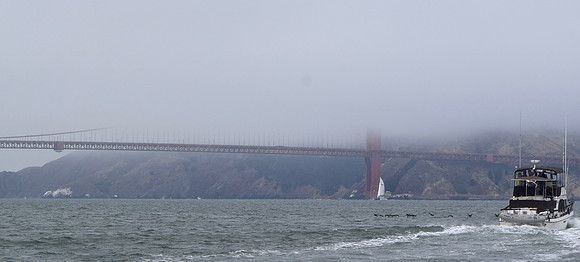DSC_0049 (2)