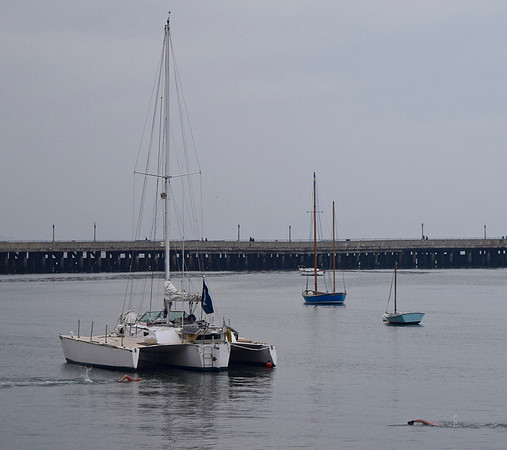 DSC_0087 (2)