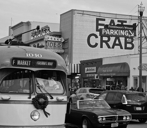 DSC_0024 (2)