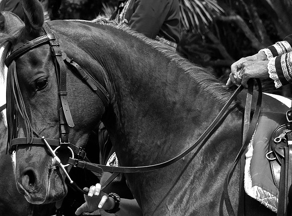 DSC_0054