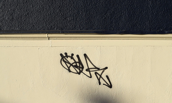 DSC_0030 (5)